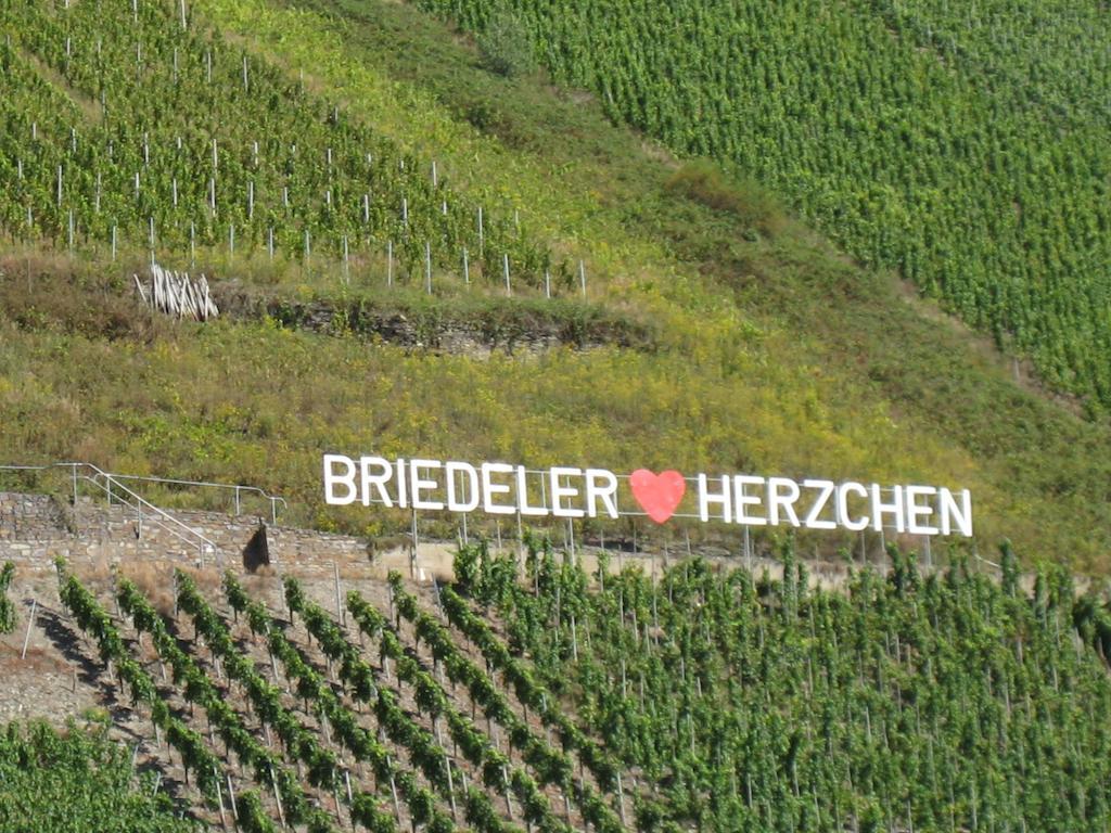 Weingut Goeres Hotel Briedel Cameră foto